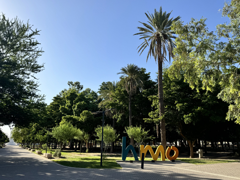 San Pedro El Saucito